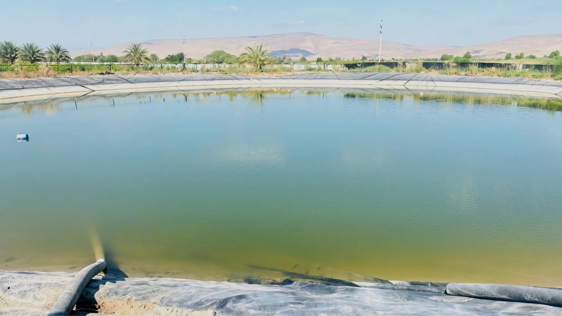 زراعة الأغوار الشمالية تدعو لتسييج البرك الزراعية للحد من حوادث الغرق